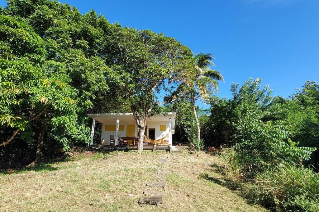 Villa Sunshine La Trinité Exteriér fotografie